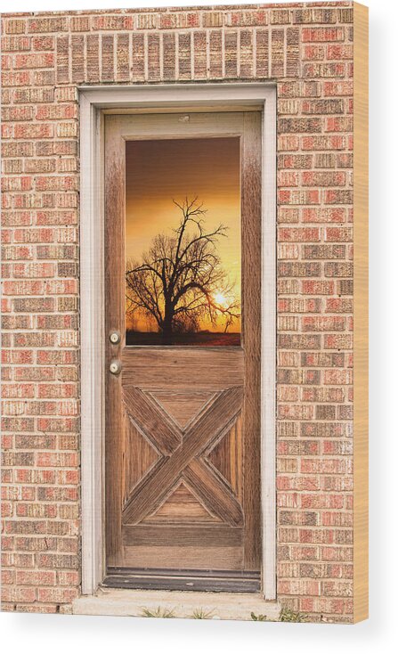 Doorway Wood Print featuring the photograph Golden Doorway Window View by James BO Insogna