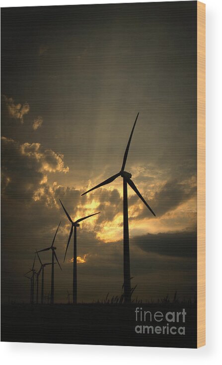 Windmill Wood Print featuring the photograph Golden Sunset 1 by Jim McCain