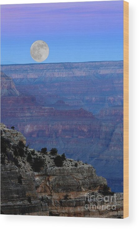 Good Night Moon Wood Print featuring the photograph Good Night Moon by Patrick Witz
