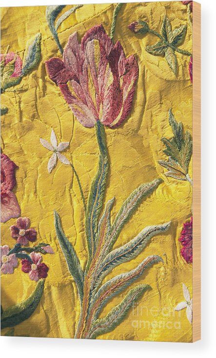 Jacobean Wood Print featuring the photograph Gorgeous Tulip by Brenda Kean