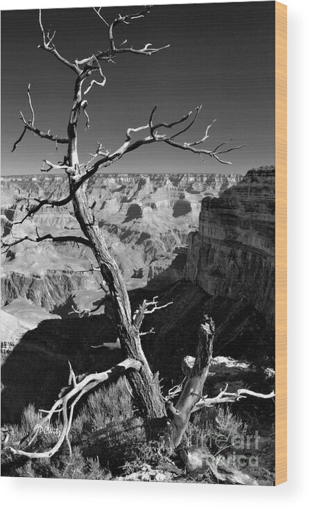 Grand Canyon Bw Wood Print featuring the photograph Grand Canyon BW by Patrick Witz