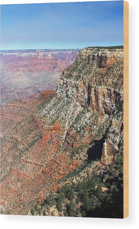 Grand Canyon Wood Print featuring the photograph Grand Canyon South Rim by Michael Hope