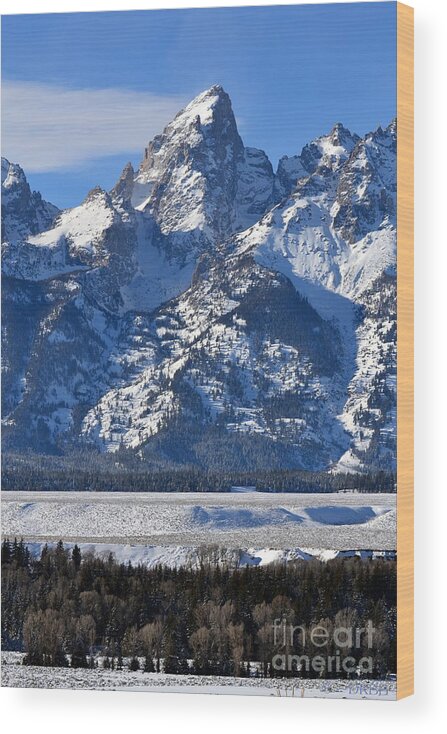 Mountains Wood Print featuring the photograph Grand Teton by Dorrene BrownButterfield
