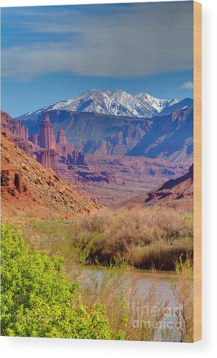 Colorado River Wood Print featuring the photograph Grand Views by Sue Karski