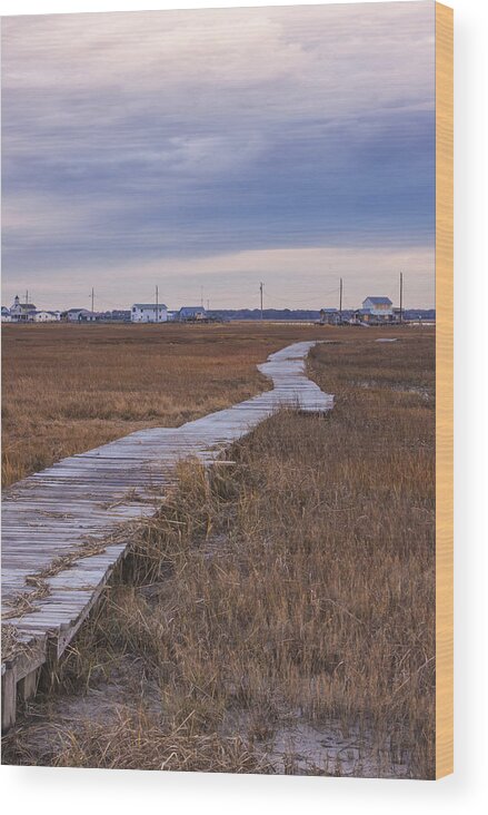 Wildwood New Jersey Wood Print featuring the photograph Grassy Sound Boardwalk by Tom Singleton