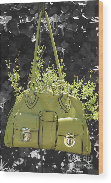 Green Wood Print featuring the photograph Green Flower Bag by Sebastian Mathews Szewczyk