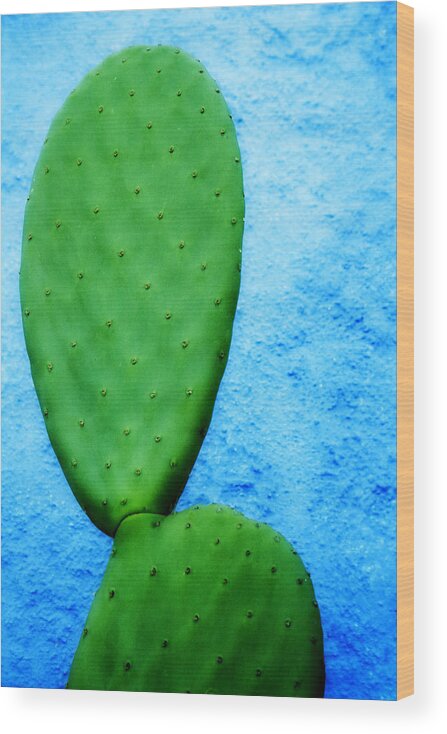 Tucson Wood Print featuring the photograph Green on Blue by Carol Leigh