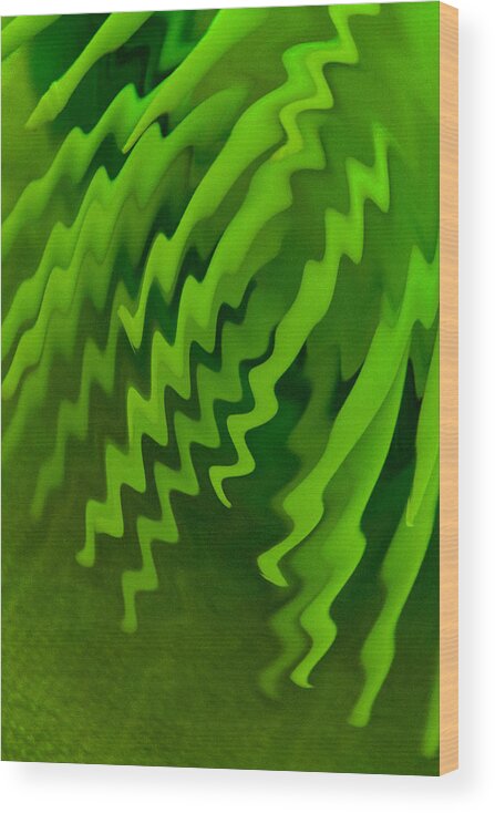 Abstract Wood Print featuring the photograph Green Zigzag by Winnie Chrzanowski