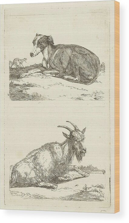 1780-1855 Wood Print featuring the drawing Greyhounds And Goat, Jan Dasveldt by Artokoloro