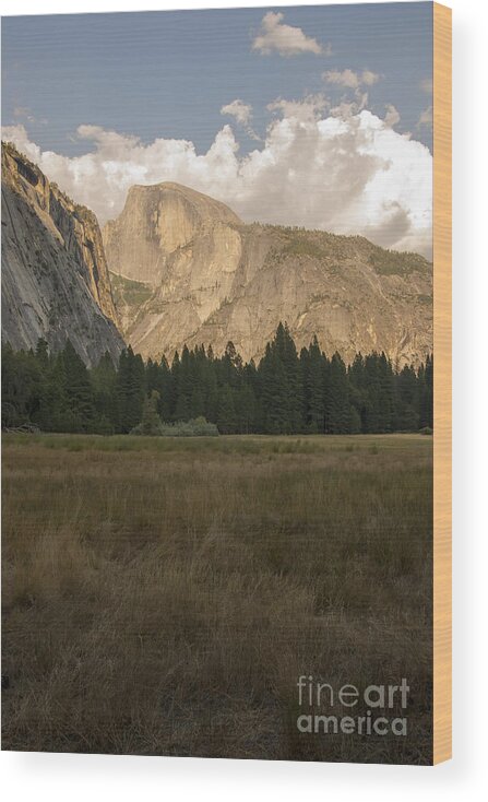 Yosemite National Park California Half Dome Landscape Landscapes Landmark Landmarks Fir Tree Trees Mountain Mountains Parks Grass Grasses Valley Valleys Sunset Sunsets Wood Print featuring the photograph Half Dome and the Yosemite Valley by Bob Phillips