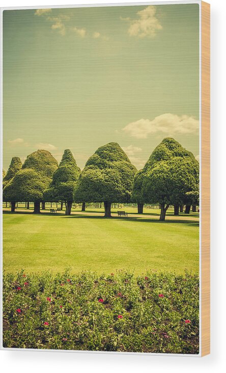 20th Centuary Garden Wood Print featuring the photograph Hampton Court Palace Gardens Summer Colours by Lenny Carter