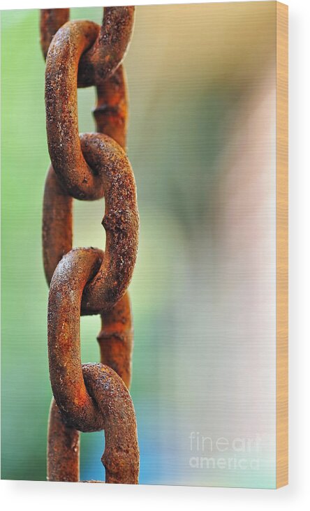 Photography Wood Print featuring the photograph Hanging Chain before Pastel Bokeh by Kaye Menner