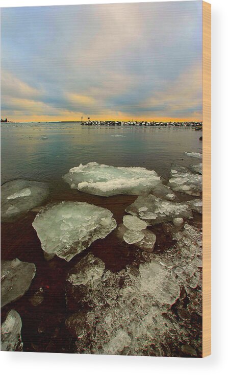 Ice Wood Print featuring the photograph Hanging On by Amanda Stadther