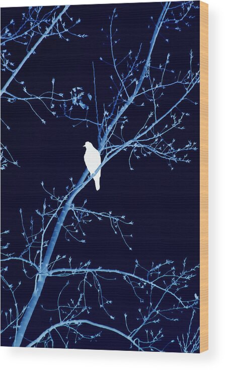 Bird Wood Print featuring the mixed media Hawk Silhouette on Blue by Lesa Fine
