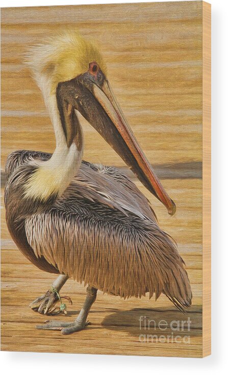 Deborah Benoit Wood Print featuring the painting Hazards of Bird Life by Deborah Benoit