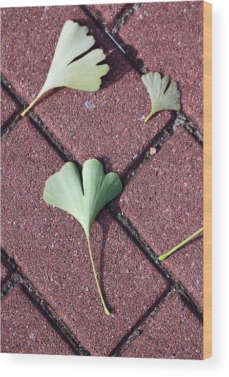 Leaves Wood Print featuring the photograph Hearts on Brick by Jennifer Robin