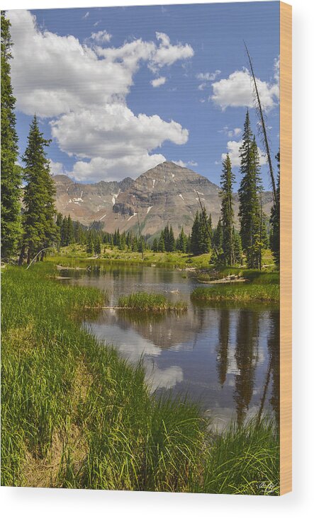 Colorado Wood Print featuring the photograph Hesperus Mountain Reflection by Aaron Spong