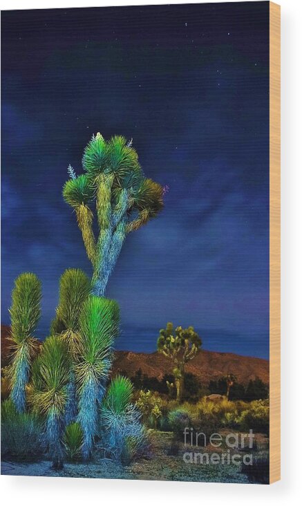 Desert Moon Wood Print featuring the photograph Hey You by Angela J Wright