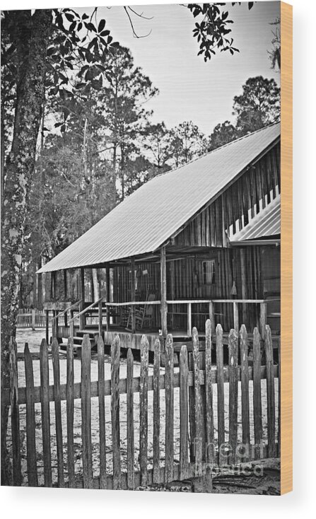 Swamp Home Wood Print featuring the photograph Home Swamp Home by Southern Photo
