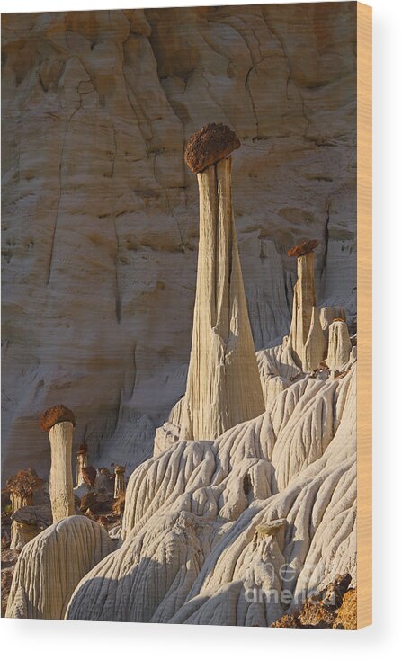 Grand Staircase Escalante National Monument Wood Print featuring the photograph Hoodoo Sunrise by Bill Singleton