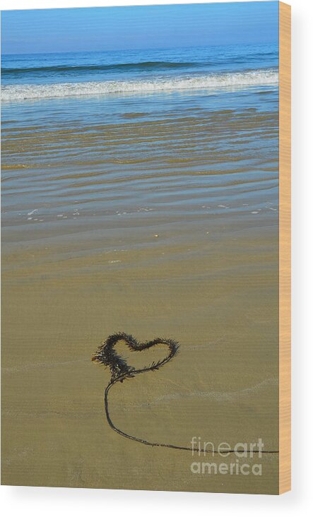 Pismo Beach Wood Print featuring the photograph I Love The Ocean by Debra Thompson