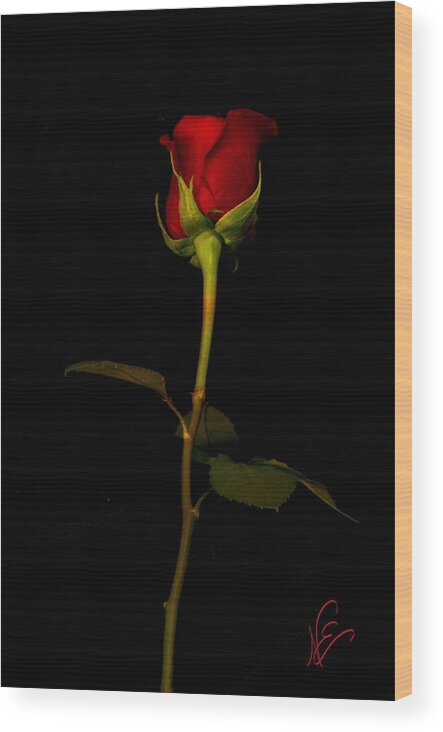 Single Rose Wood Print featuring the photograph I Love You by Nancy Edwards