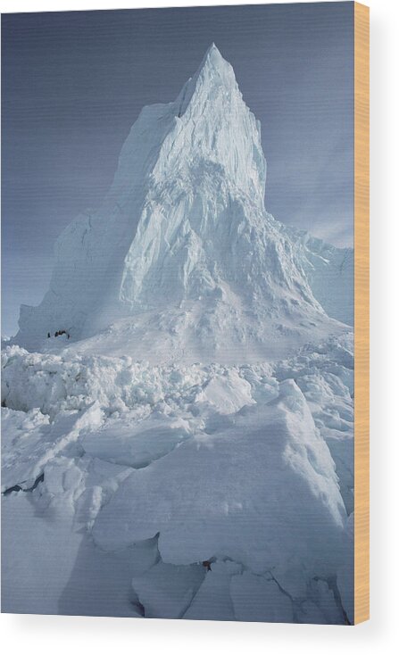 Feb0514 Wood Print featuring the photograph Iceberg Arctic by Flip Nicklin