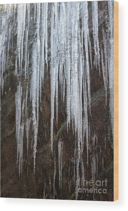 Icicles Wood Print featuring the photograph Icicles on a cliff by Dwight Cook