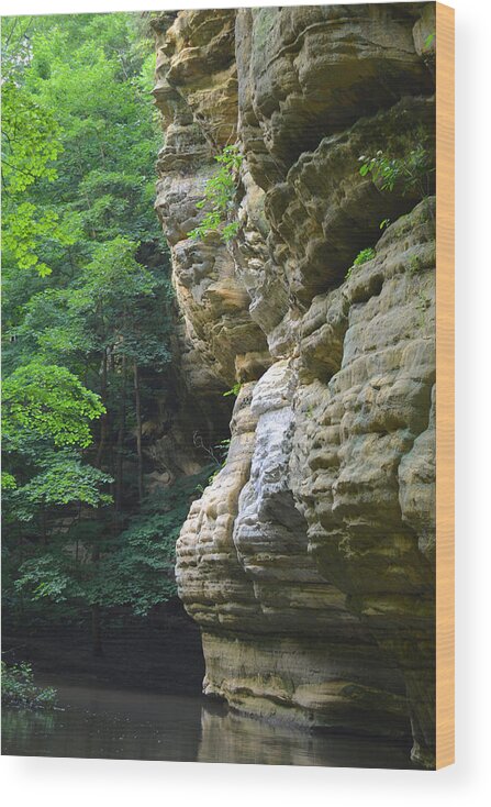 Starved Rock Wood Print featuring the photograph Illinois Canyon Starved Rock by Forest Floor Photography