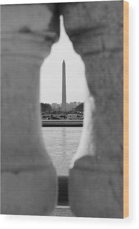 Washington Dc Wood Print featuring the photograph In Palms by Iryna Goodall