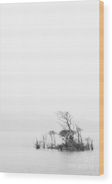 Assynt Wood Print featuring the photograph In the mist by Maciej Markiewicz