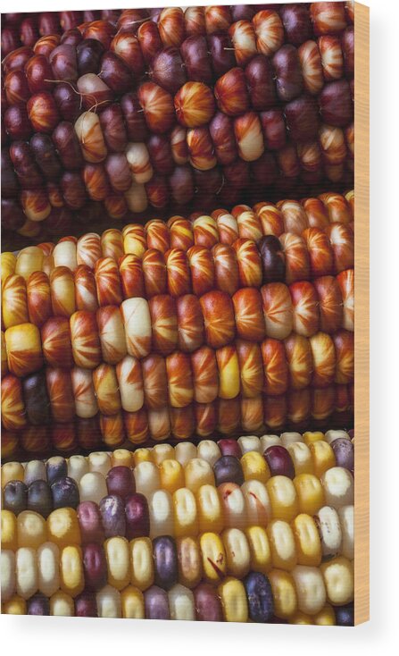  Indian Wood Print featuring the photograph Indian Corn Harvest Time by Garry Gay