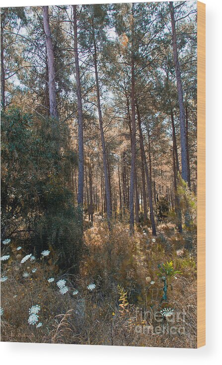 Forest Wood Print featuring the photograph Indian summer by Arik Baltinester
