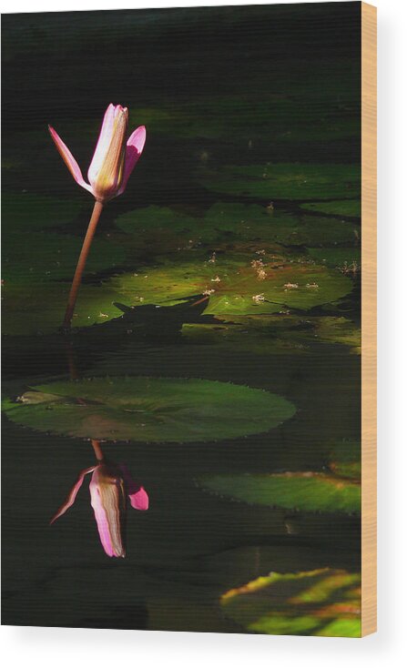 Lotus Wood Print featuring the photograph Inner Peace by Evelyn Tambour