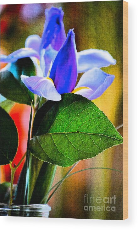 Iris Wood Print featuring the photograph Iris Carried Away by Gwyn Newcombe