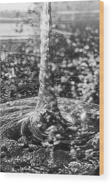 Whirlpool Wood Print featuring the photograph Is it possible by Scott Campbell