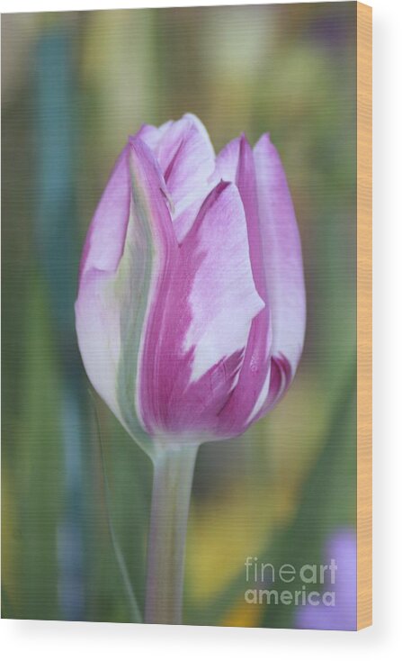 Home Floral Decor Images Wood Print featuring the photograph It's a Gift to be Simple by Mary Lou Chmura