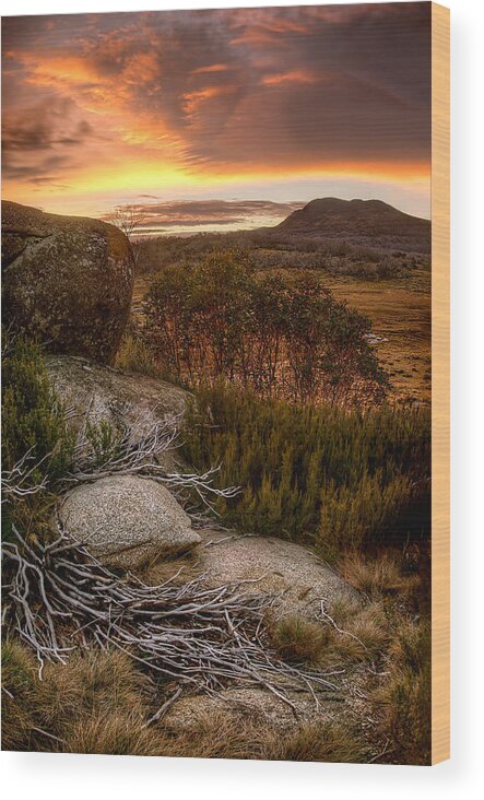 2013 Wood Print featuring the photograph Jagungal Wilderness by Robert Charity
