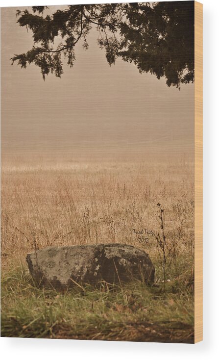 Green Lane Wood Print featuring the photograph Just A Rock by Trish Tritz