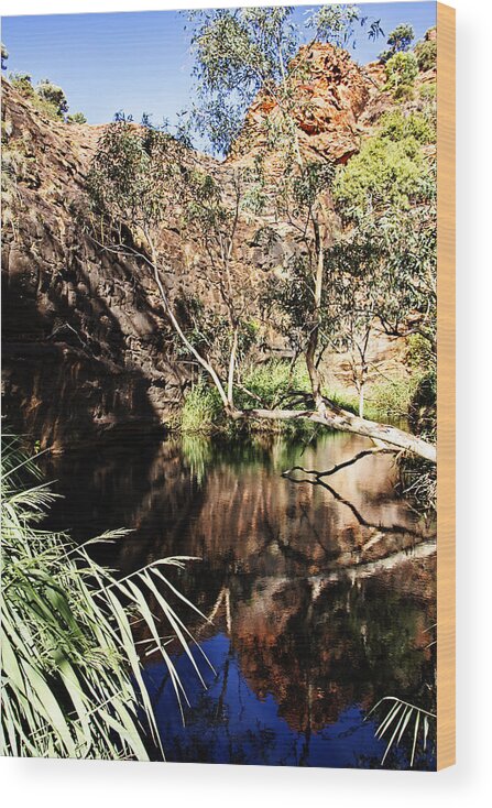 Water Wood Print featuring the photograph Kathleen Springs by Douglas Barnard