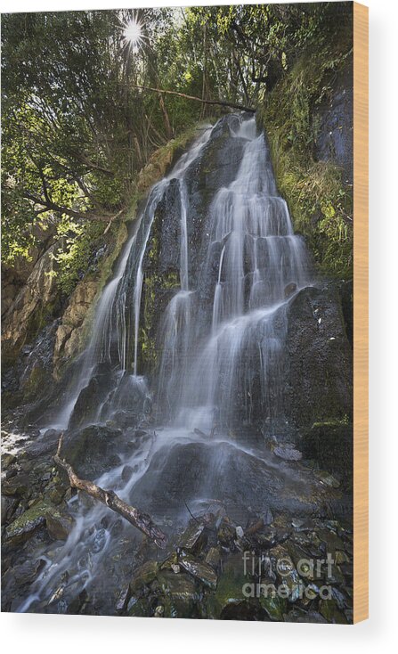 Waterfall Wood Print featuring the photograph Kings Canyon Waterfall by Dianne Phelps