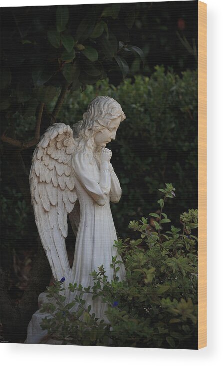 Gardens Wood Print featuring the photograph Kneeling Angel by Kathleen Scanlan