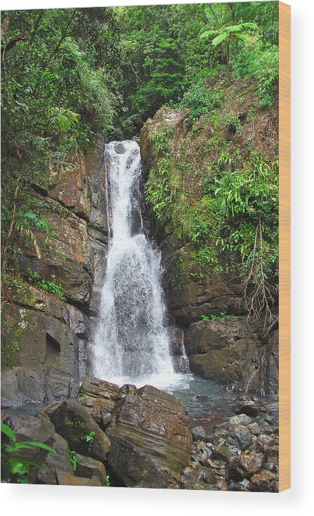 Waterfalls Wood Print featuring the photograph La Mina Falls El Yunque NF by Alan Lenk
