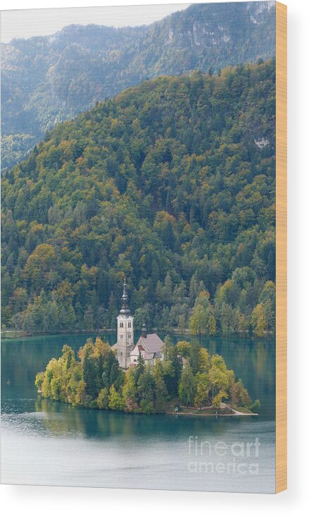 Lake Bled Wood Print featuring the photograph Lake Bled Island - Autumn by Phil Banks