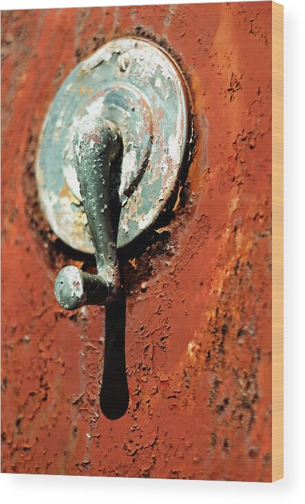 Rust Wood Print featuring the photograph Last Man Standing by Rebecca Sherman