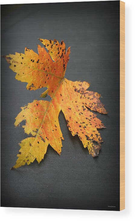 Nature Wood Print featuring the photograph Leaf Portrait by Linda Sannuti