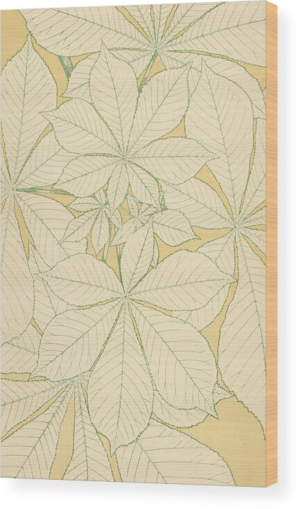 Ornament; Ornamentation; Design; Pattern; Historical; Plates; Leaves; Nature; Botany; Botanical; Leaf; Natural Wood Print featuring the painting Leaves from Nature by English School