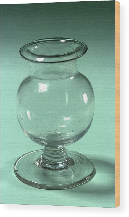 1800s Wood Print featuring the photograph Leech Jar by Science Photo Library