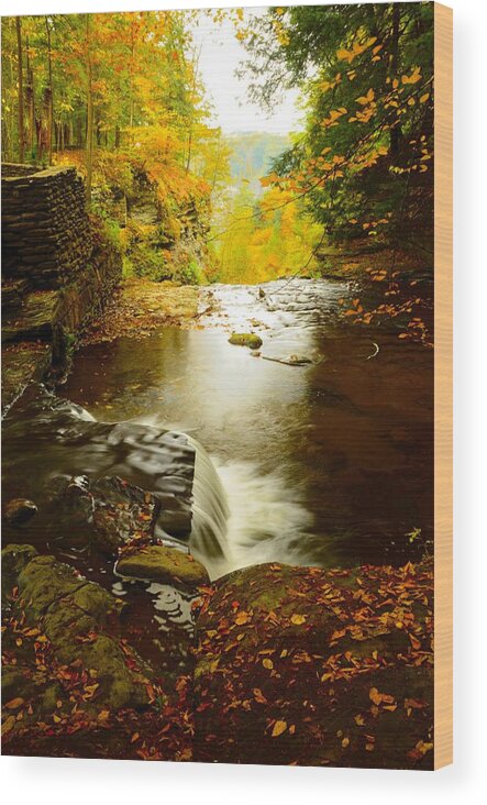 Stream Wood Print featuring the photograph Letchworth SP by Walt Sterneman