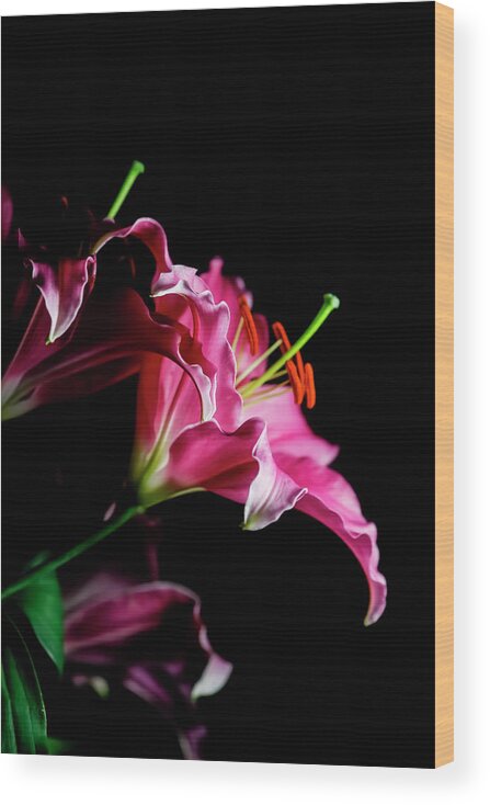 Black Background Wood Print featuring the photograph Lily Flowers Against Black Background by Westend61